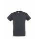 381 GRIS RATON